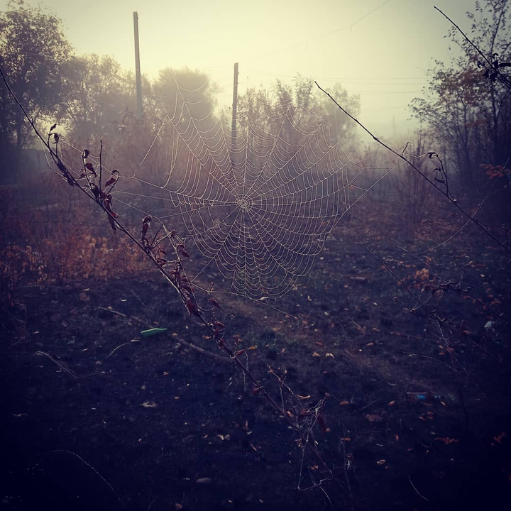 очень осень