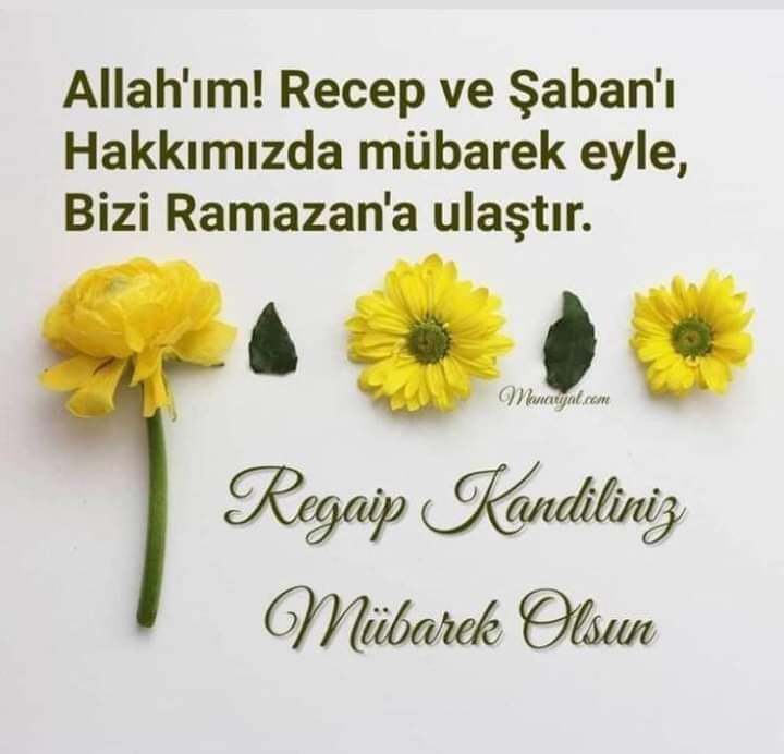Amin