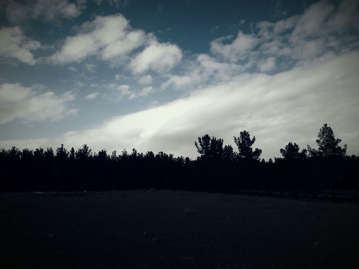 nature