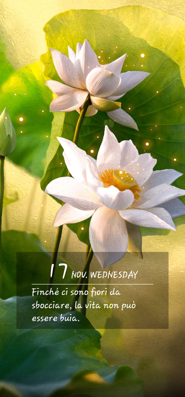 beautiful flowers
