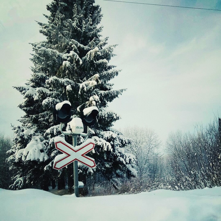 winter