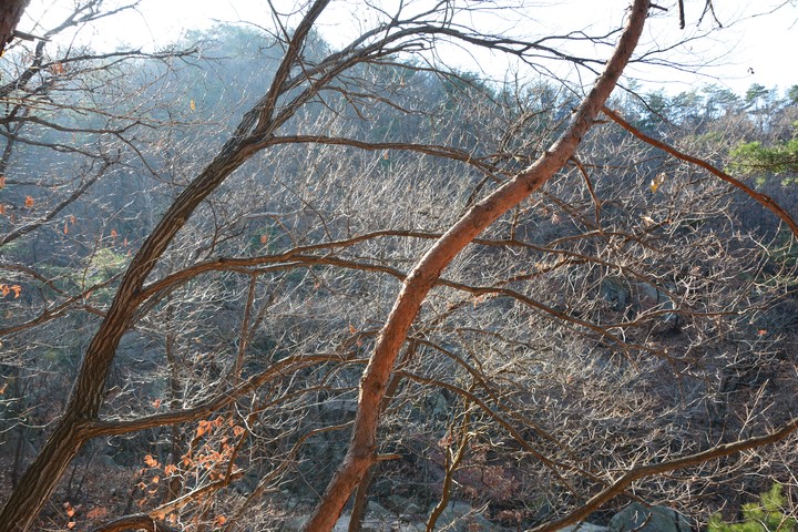 수락산이미지