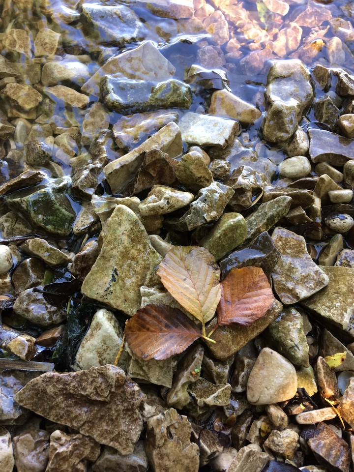 Stone sheet
