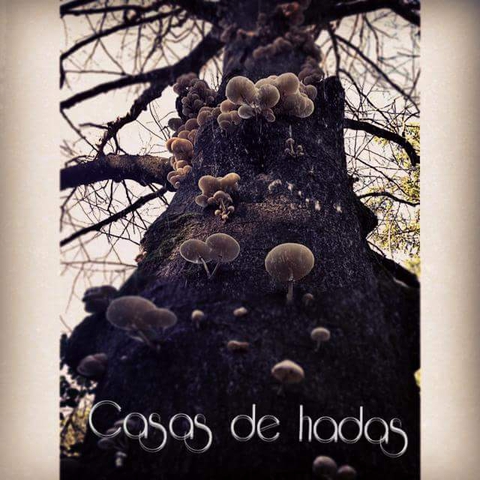 árbol