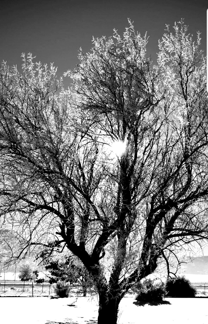 bitter winter freeze