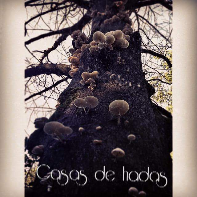 árbol