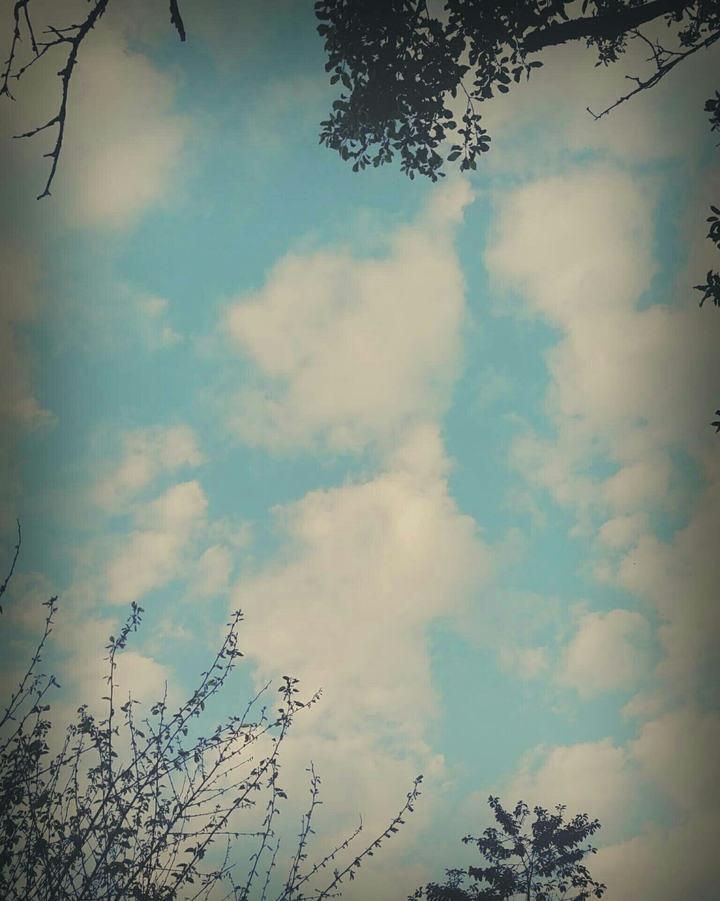 Good day!