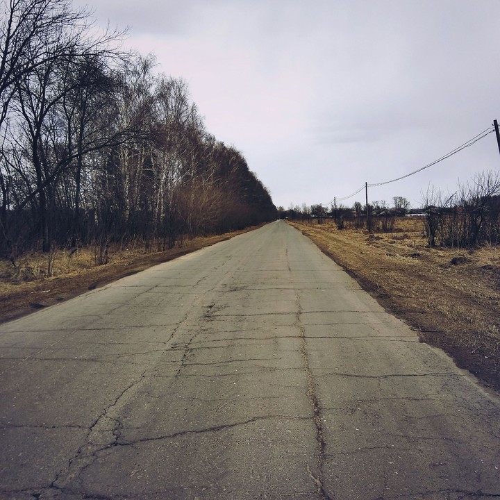 Дорога...