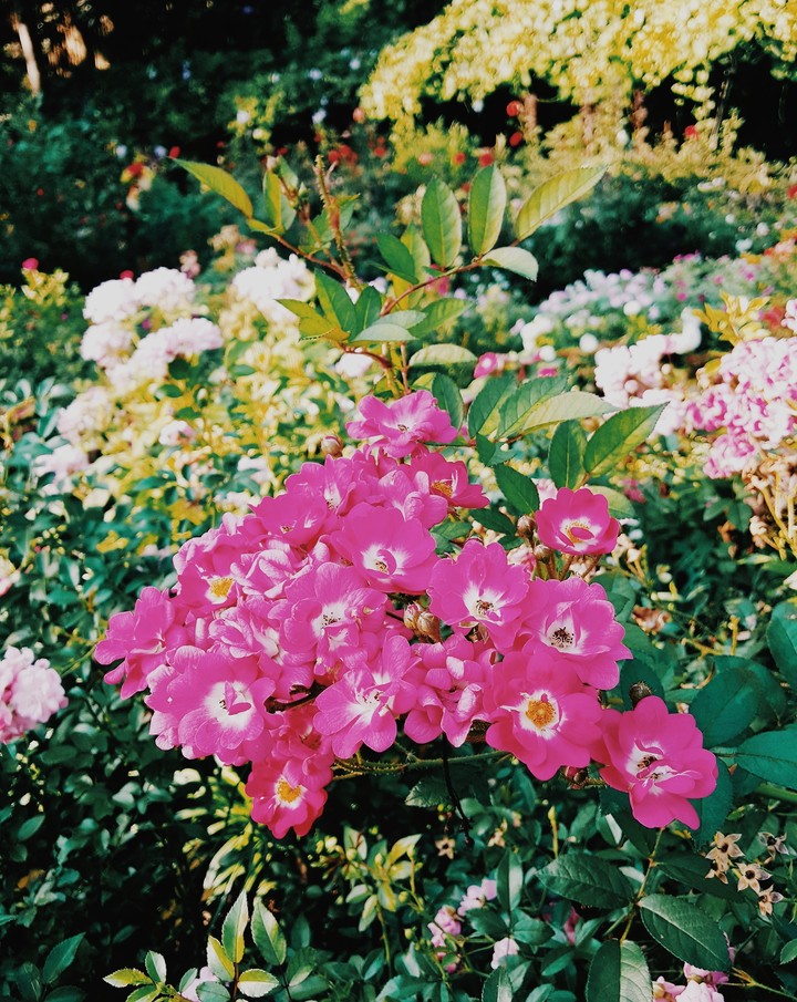 nature