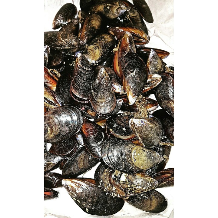 Cozze
