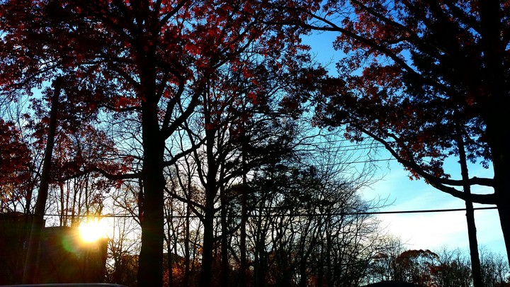 By My Bus Stop