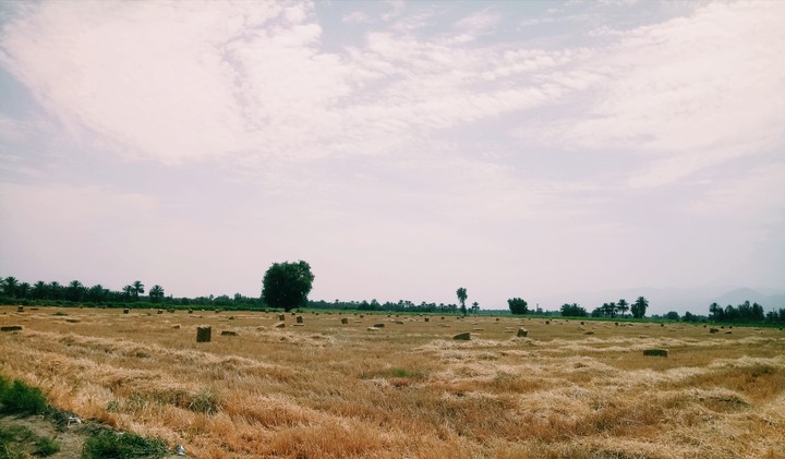 iran,faryab