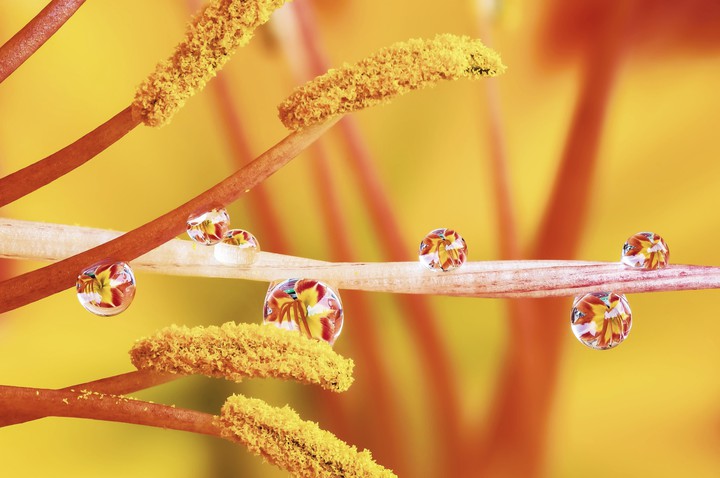 Shiny Droplets