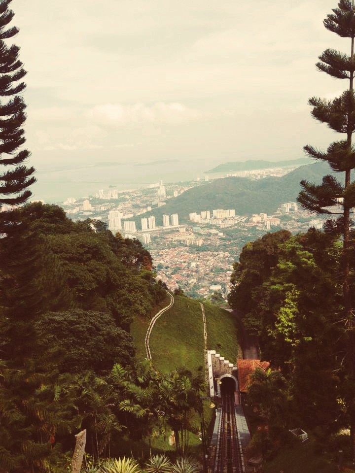 view
