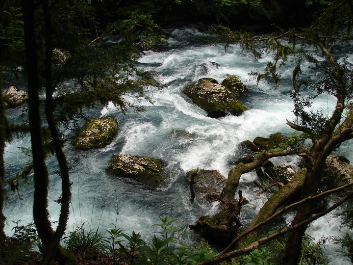 Dangerous beauty