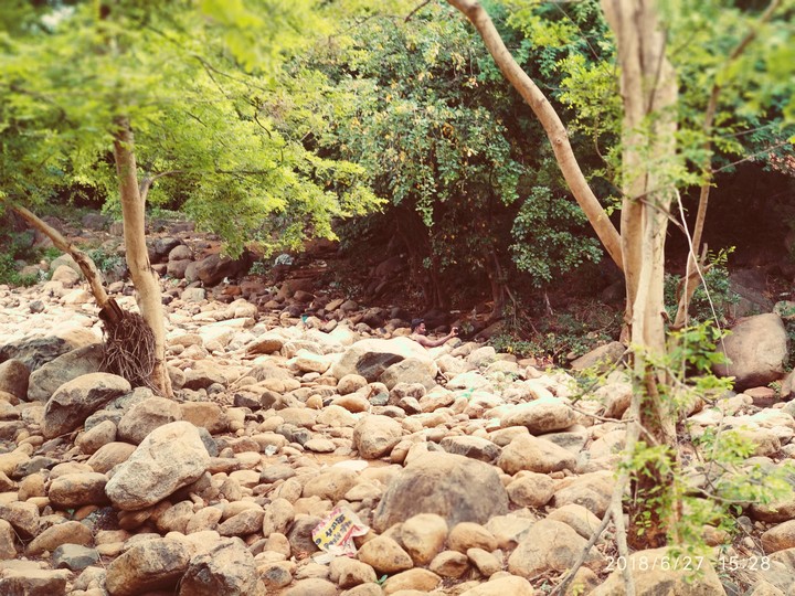 nature