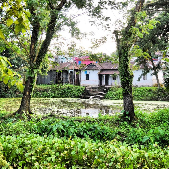 Village Homes In Bangladesh