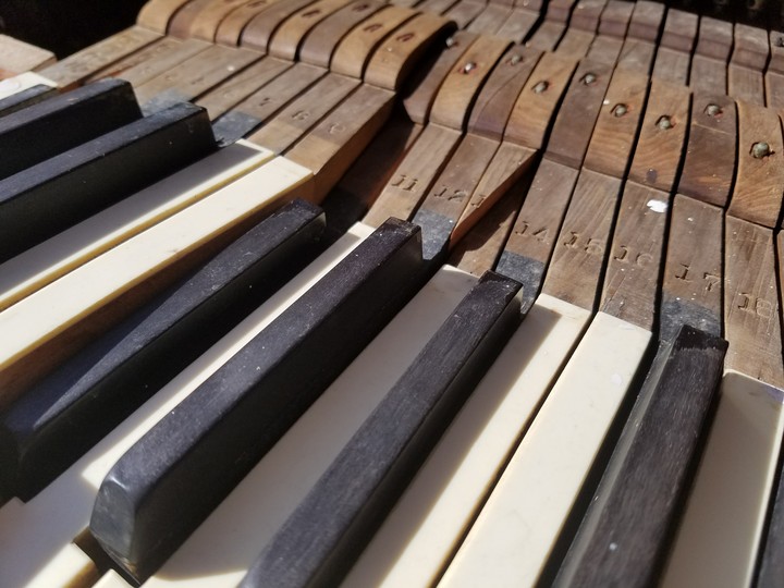 No ivories to tickle