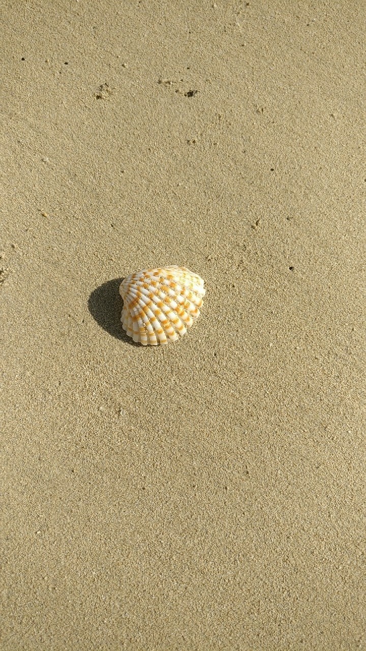 ⛱️