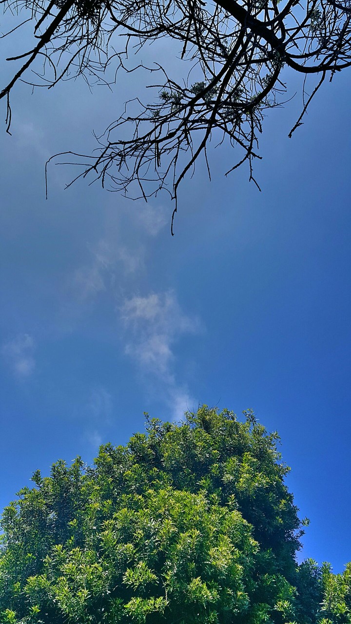 life and death