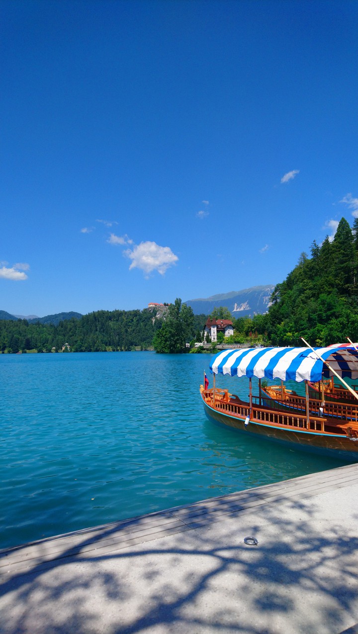 Bled