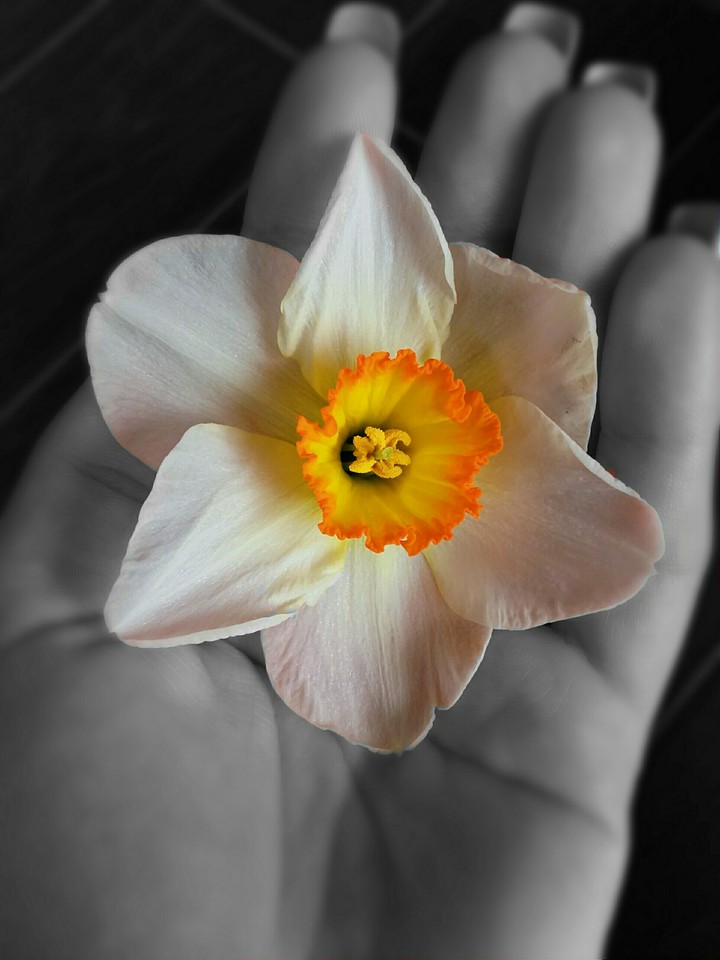 many filters and a bit of inspiration