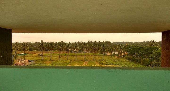 new point of view