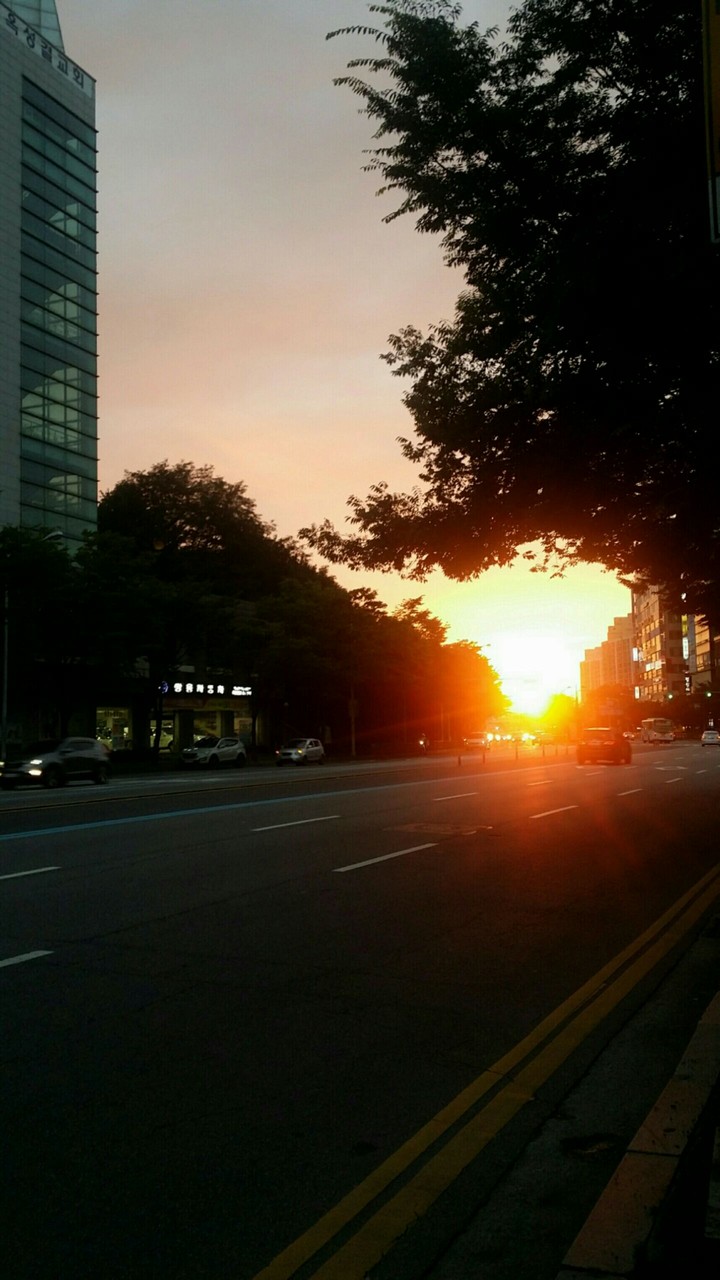 유난히 태양이 커다랗게 보인날