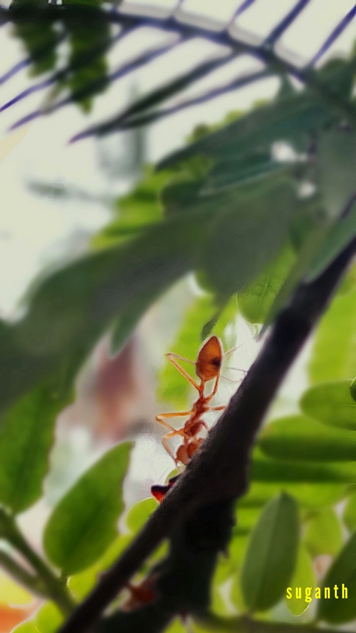 cool nature ....