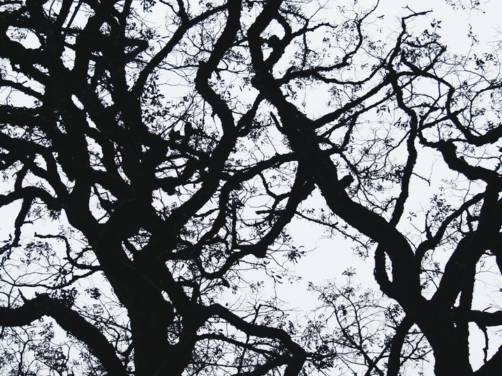 twisted