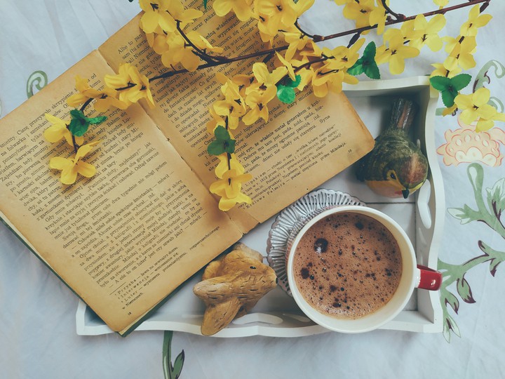 Spring book