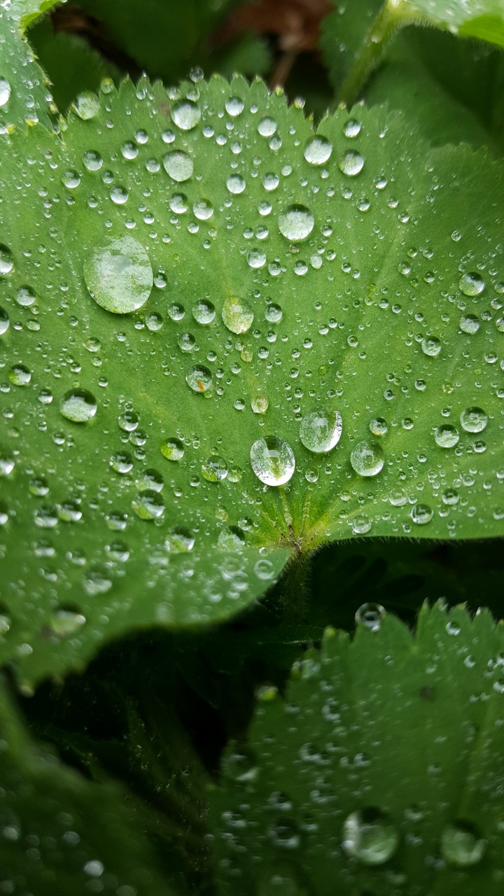 waterdrops
