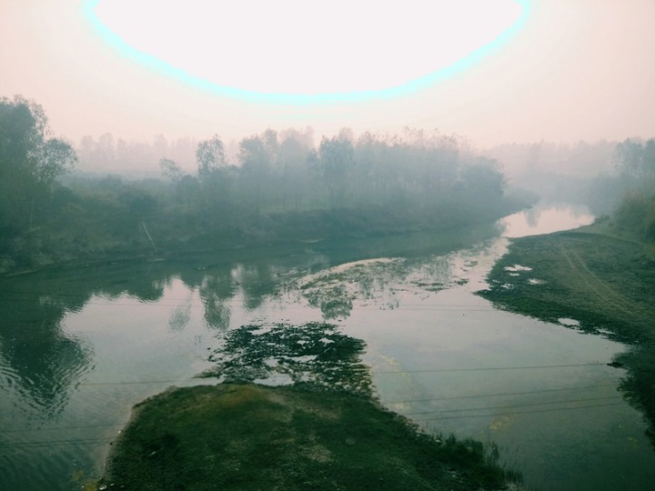 Morning fog
