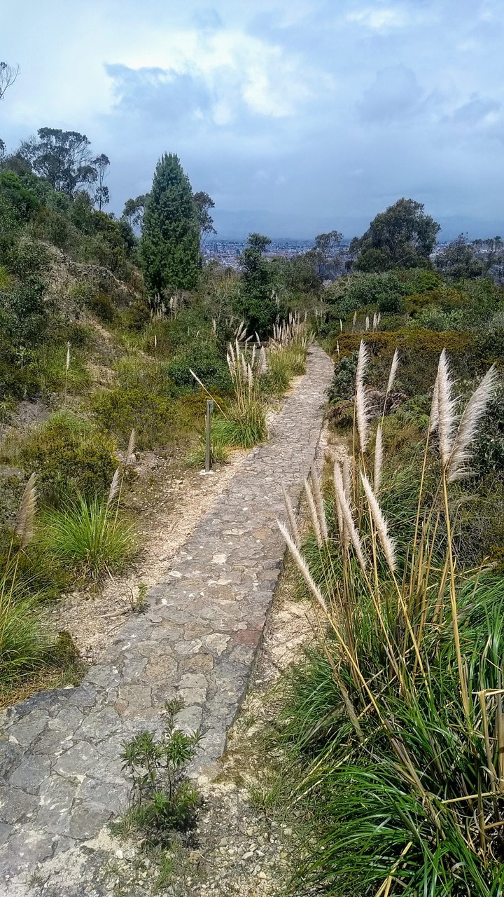 Reserva Bogota