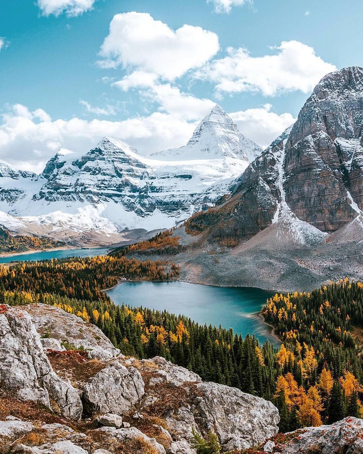 mont
