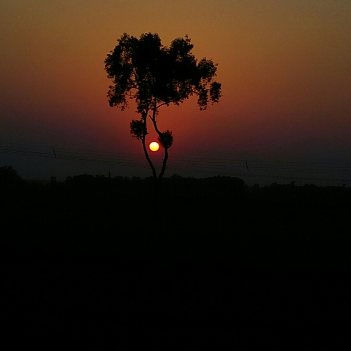Sun beauty