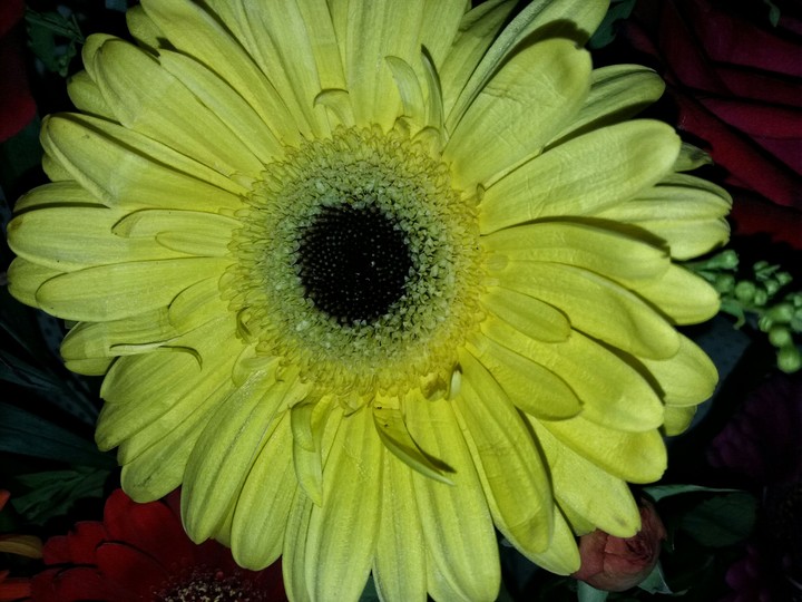 flower