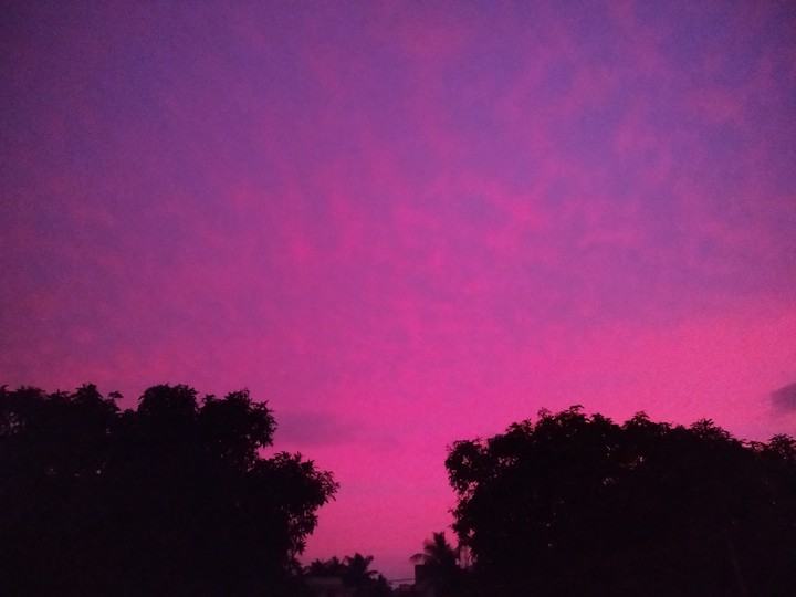 Sky is pink.