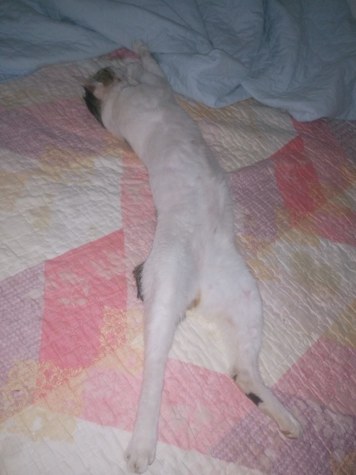 ㅈ