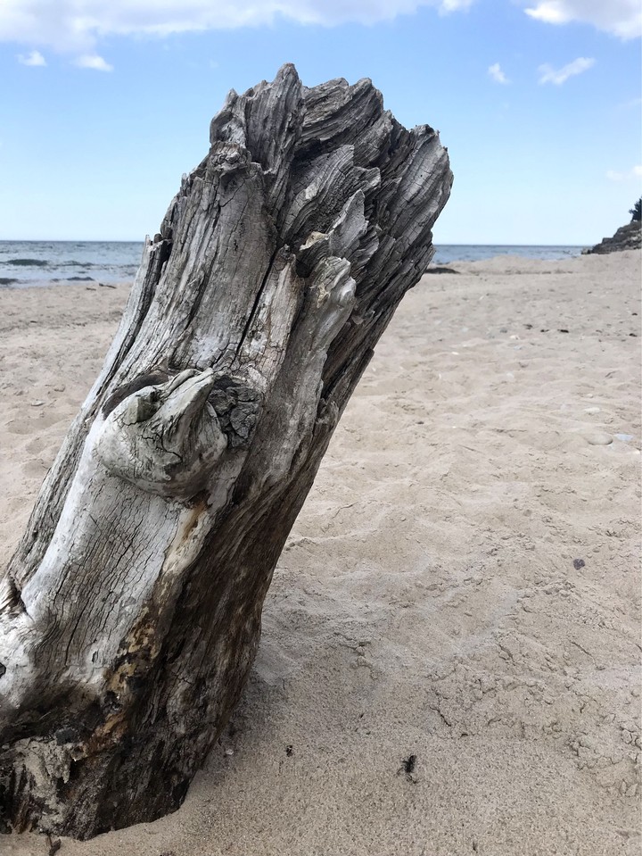 sea