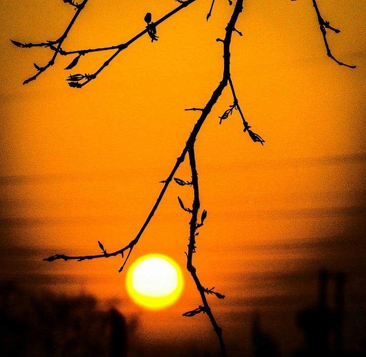glowing ball