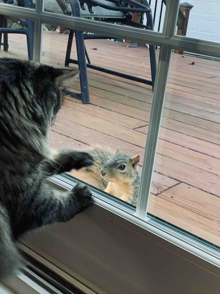 Miss Cora and squirrel friend