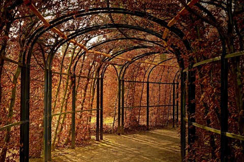 Autumn leaves.....
