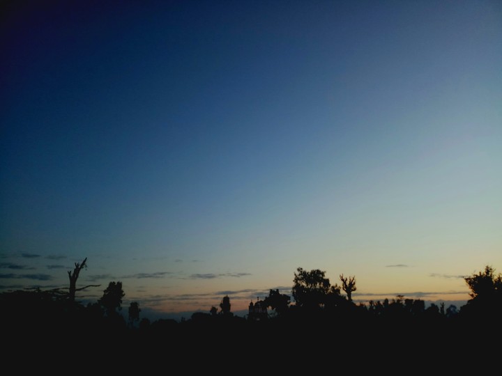 early morning