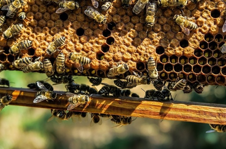 .