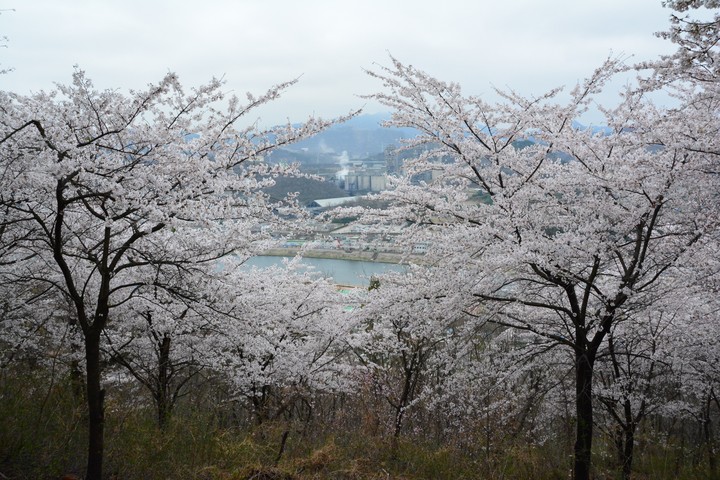 풍경이미지