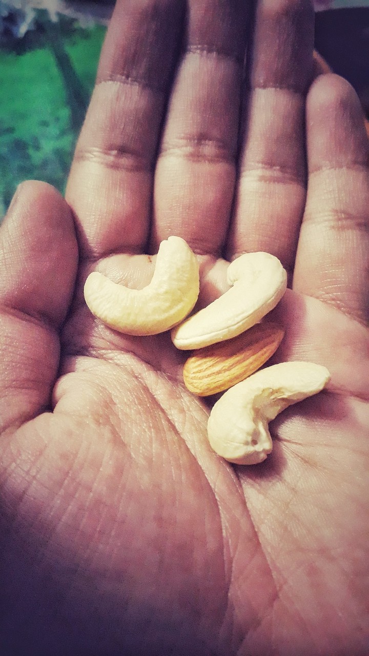 dry fruit