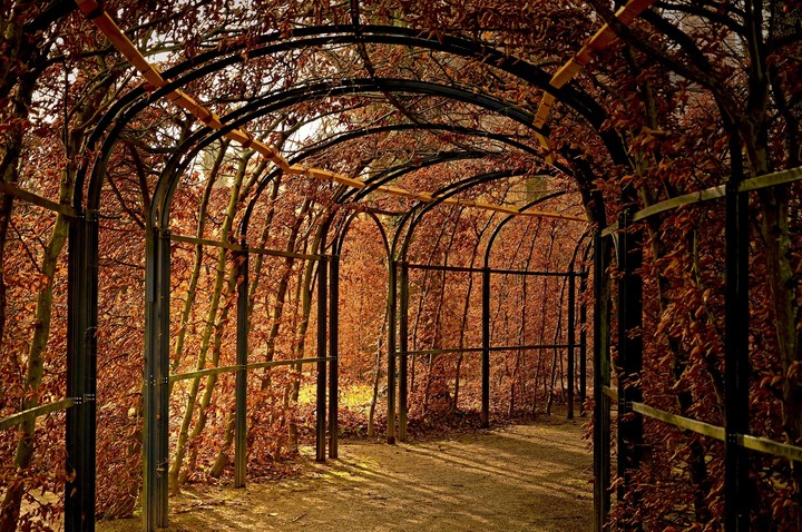 Autumn leaves.....