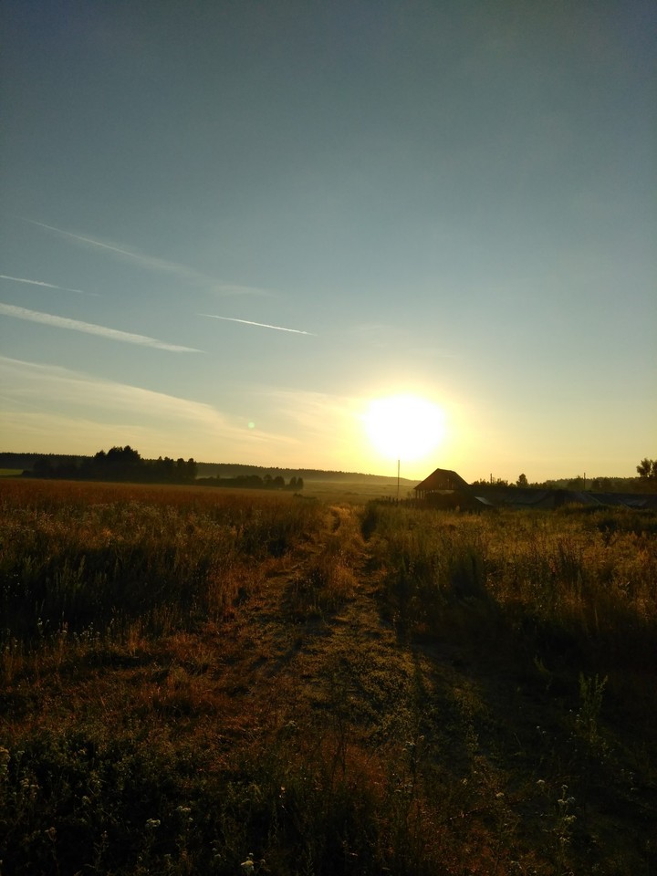 Morning in the village