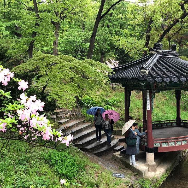 Secret garden